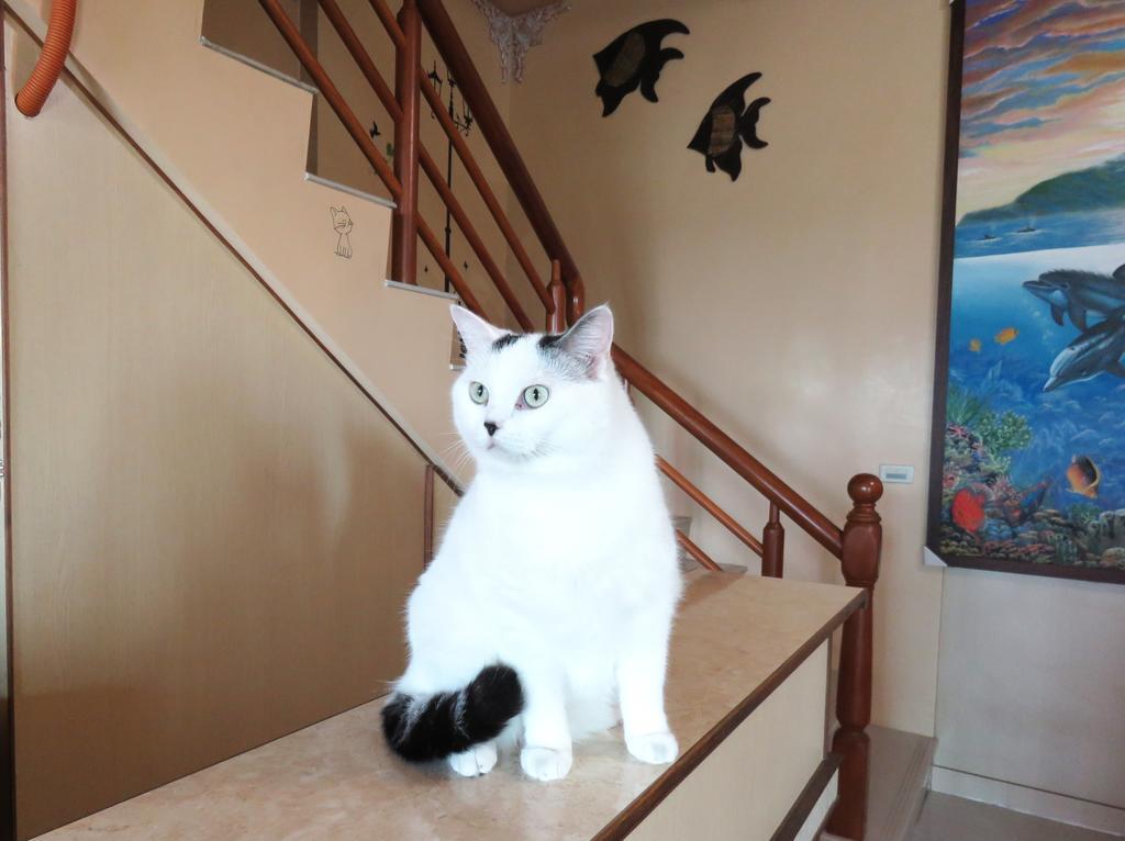 Tou Cheng Whale Watching Homestay Toucheng Zewnętrze zdjęcie